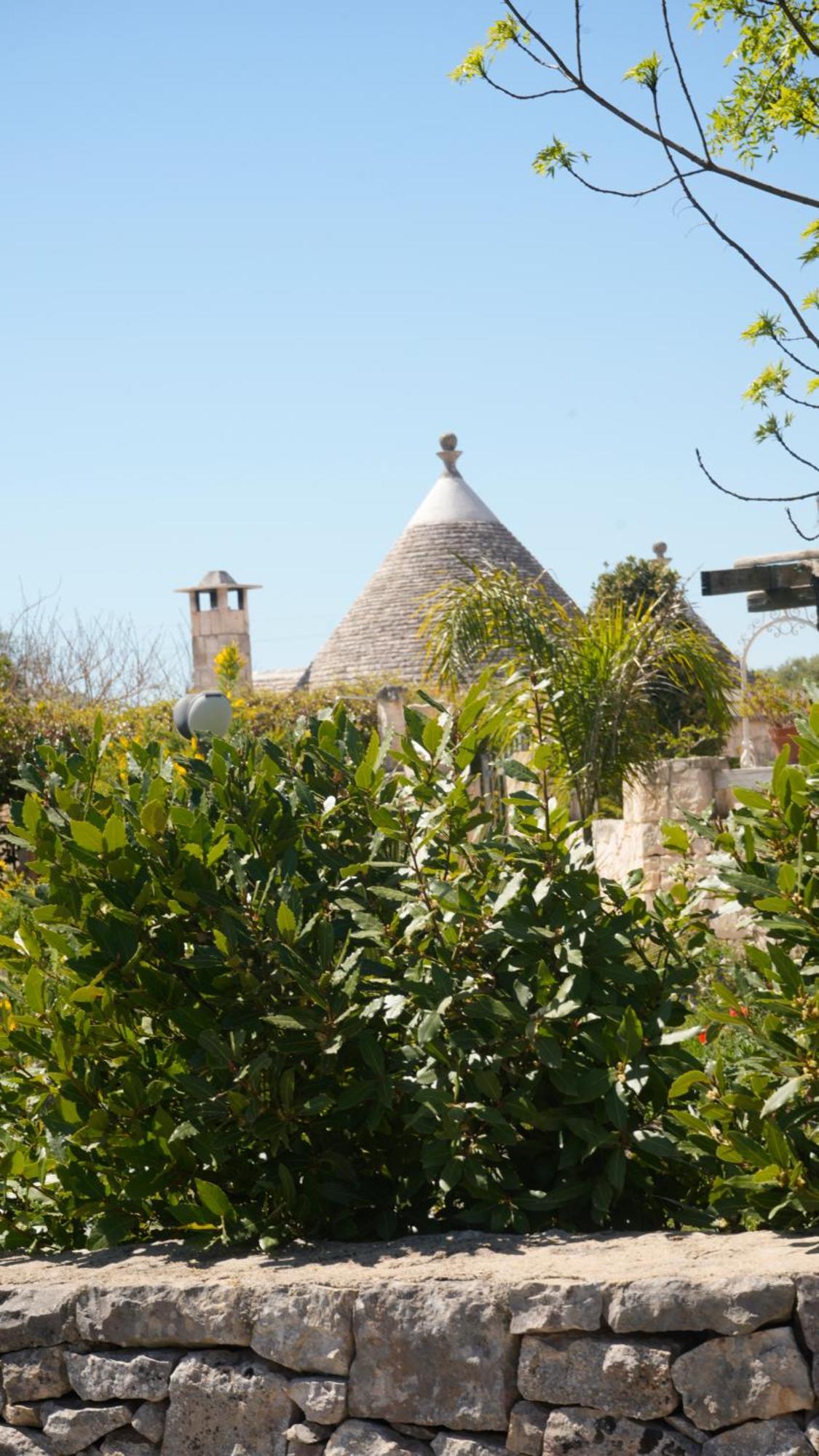 Trullo Natu - Private Villa Αλμπερομπέλο Εξωτερικό φωτογραφία