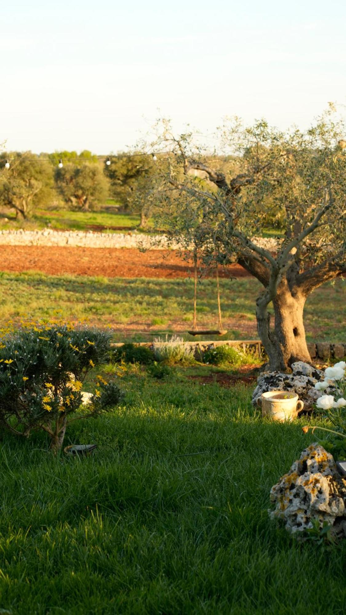 Trullo Natu - Private Villa Αλμπερομπέλο Εξωτερικό φωτογραφία